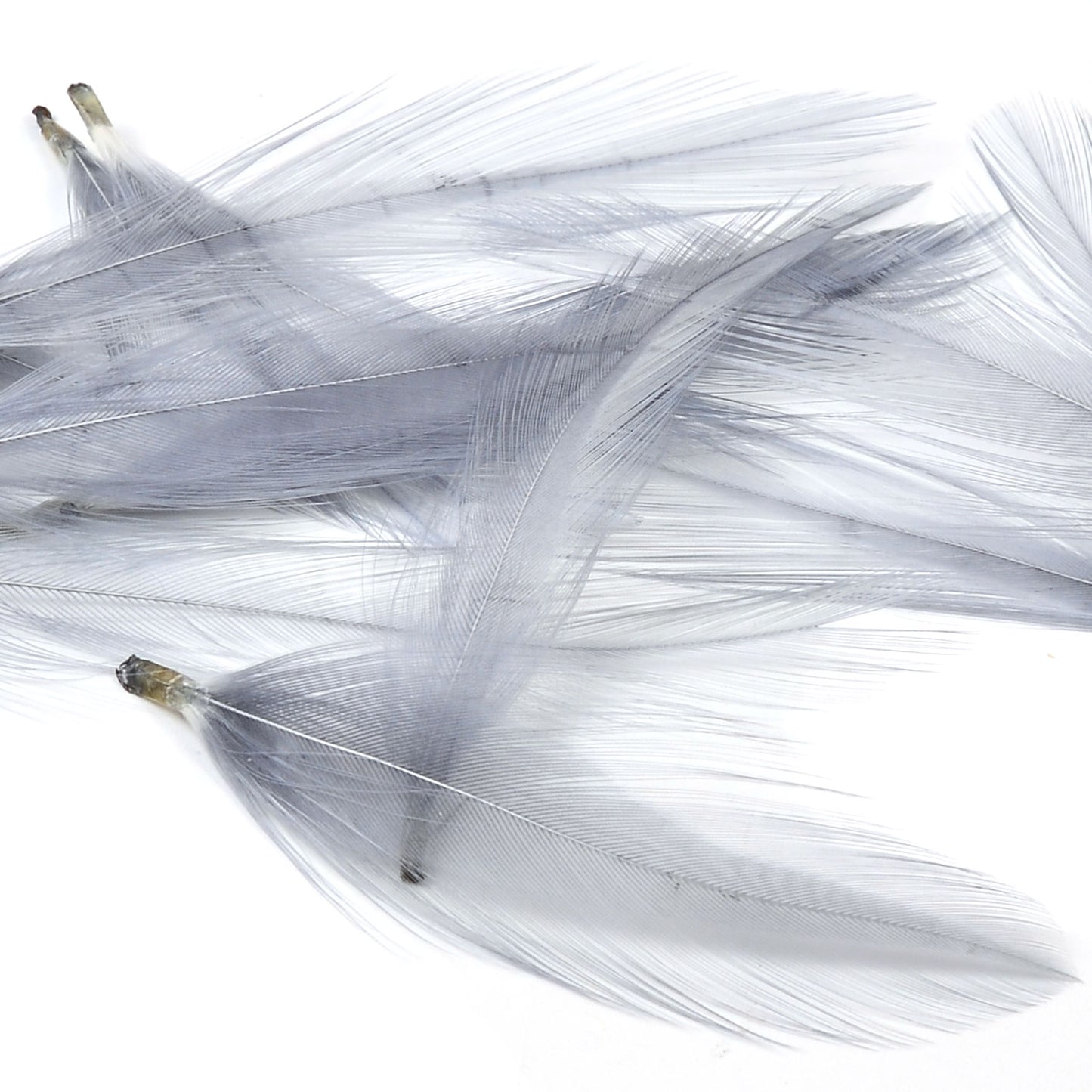 Nature's Spirit Dry Fly Tailing Packs (Spade Hackle)