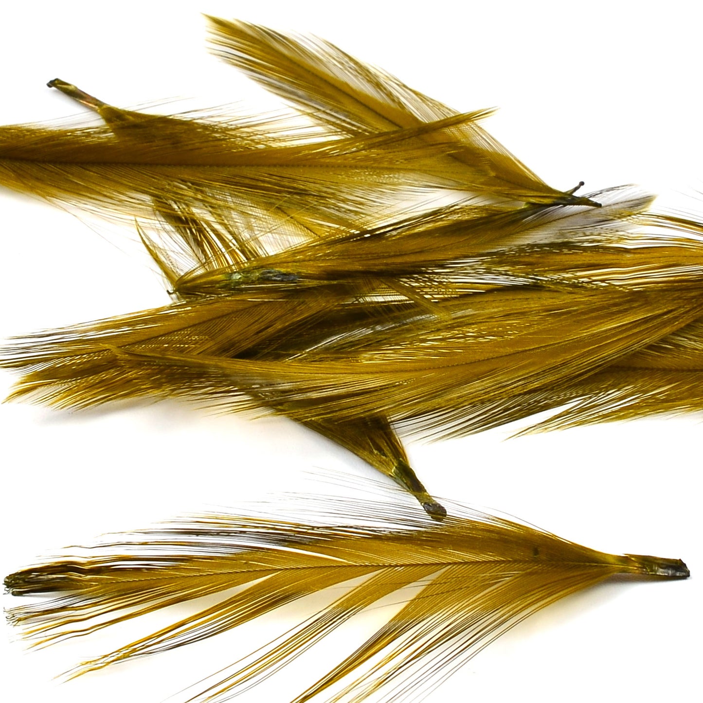 Nature's Spirit Dry Fly Tailing Packs (Spade Hackle)