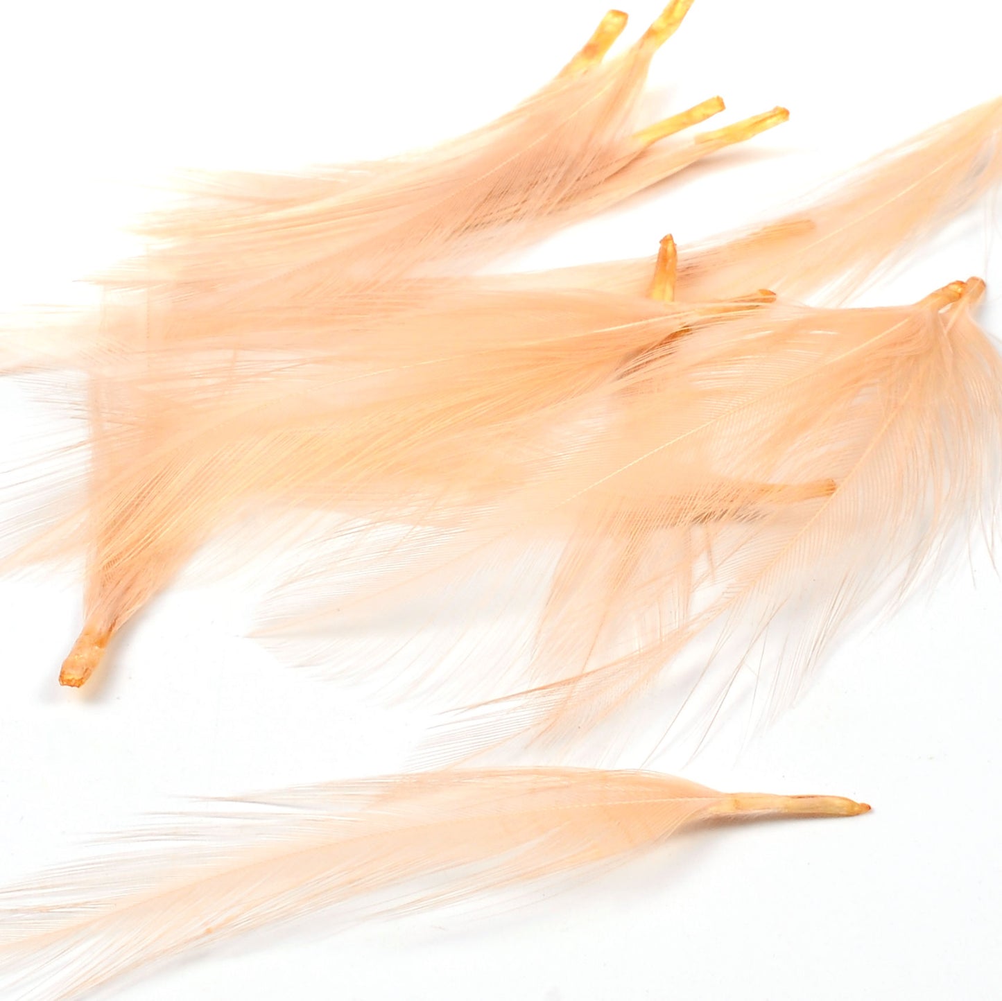 Nature's Spirit Dry Fly Tailing Packs (Spade Hackle)