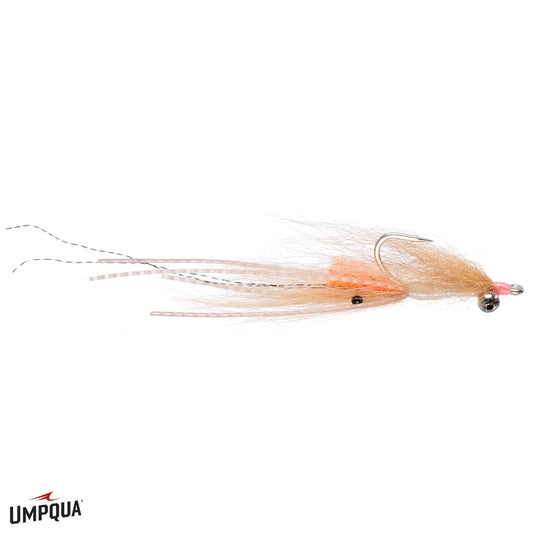 Spawning Shrimp