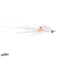 Spawning Shrimp