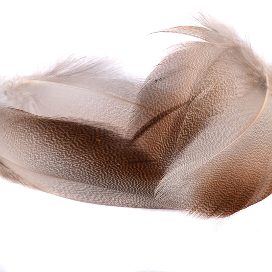 Spent Fly Fishing Select Bronze Mallard