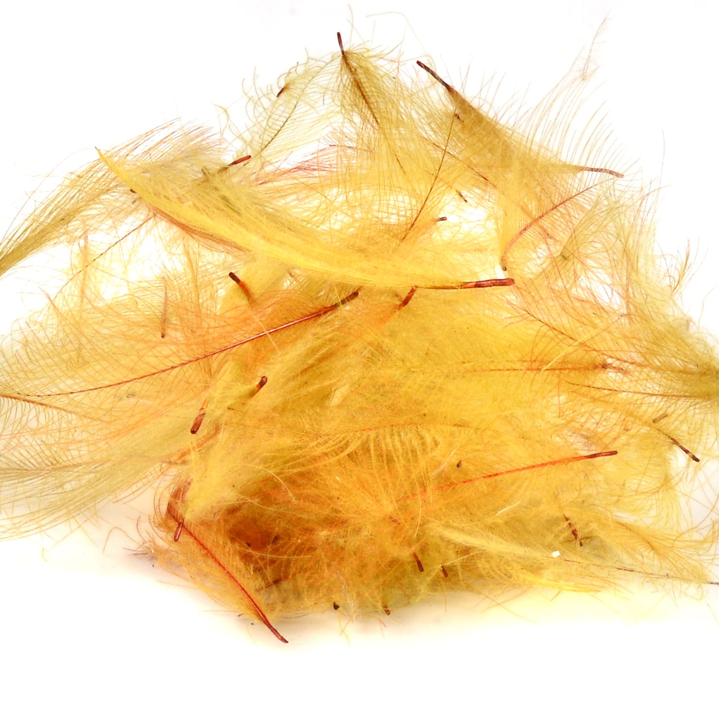 Spent Fly Fishing Duck CDC