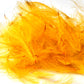 Spent Fly Fishing Duck CDC