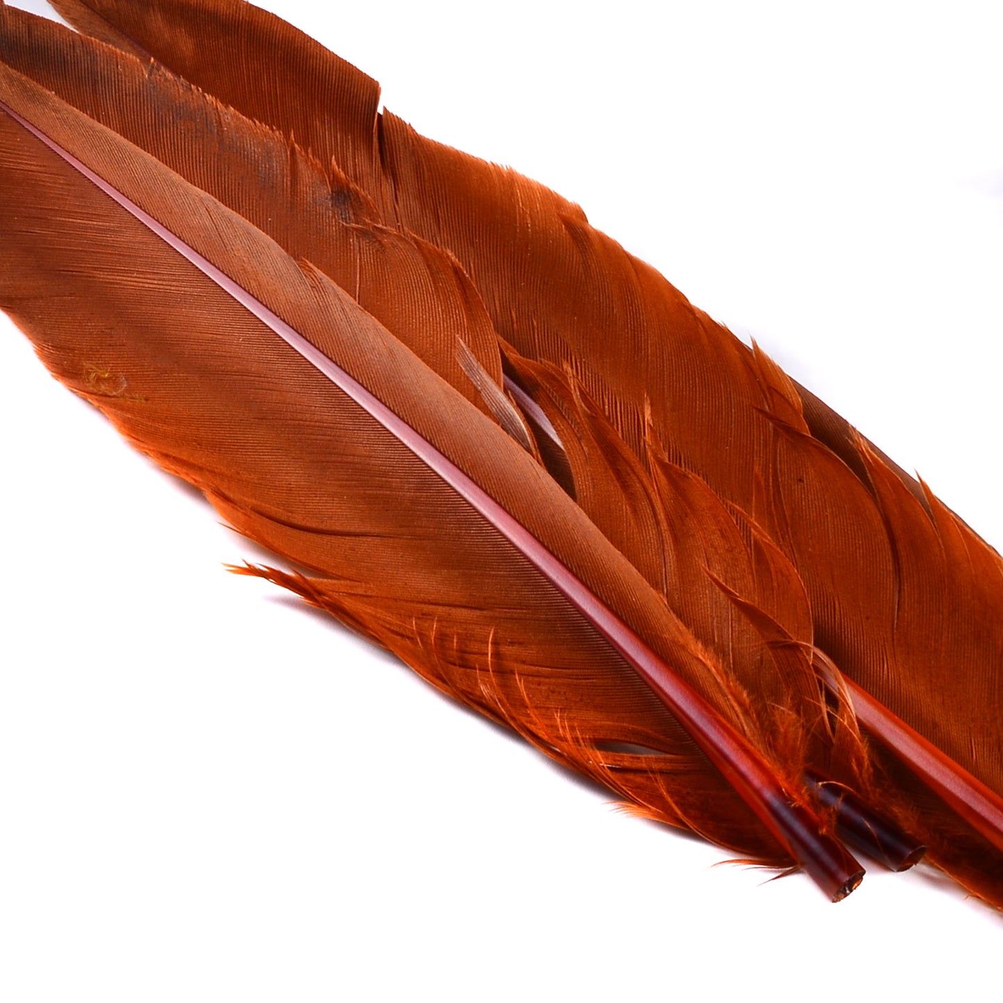 Spent Fly Fishing Duck Quills