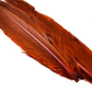 Spent Fly Fishing Duck Quills