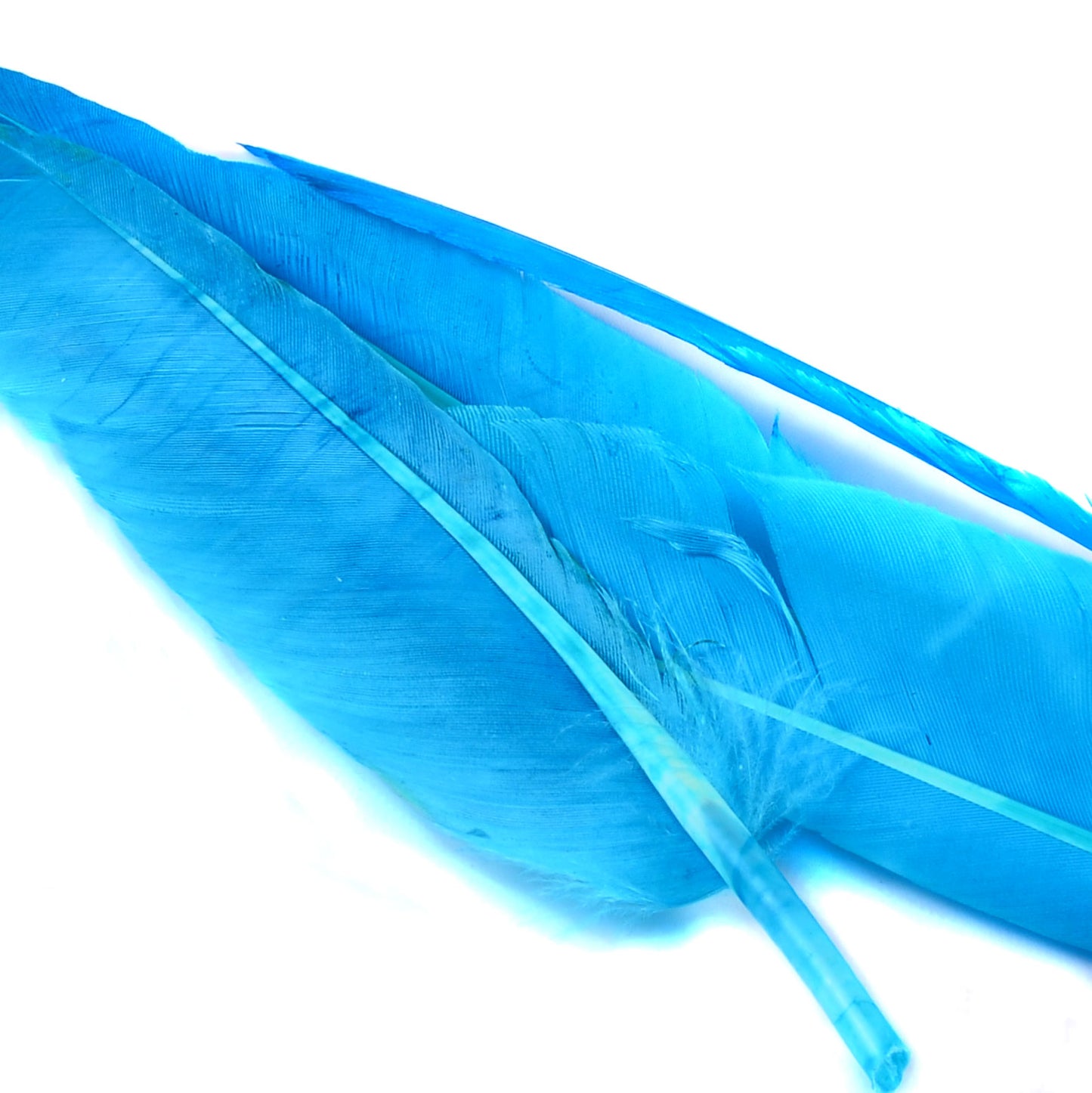 Spent Fly Fishing Duck Quills