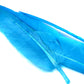 Spent Fly Fishing Duck Quills