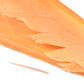 Spent Fly Fishing Canada Goose Biot