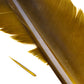 Spent Fly Fishing Canada Goose Biot