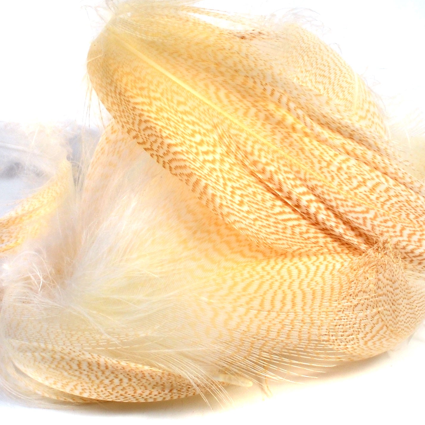 Spent Fly Fishing Mallard Flank