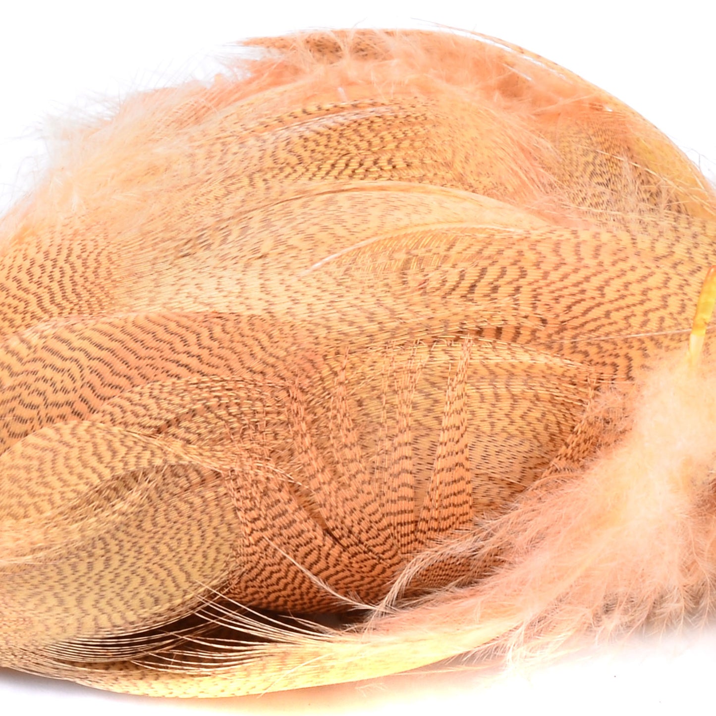 Spent Fly Fishing Mallard Flank