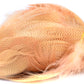 Spent Fly Fishing Mallard Flank
