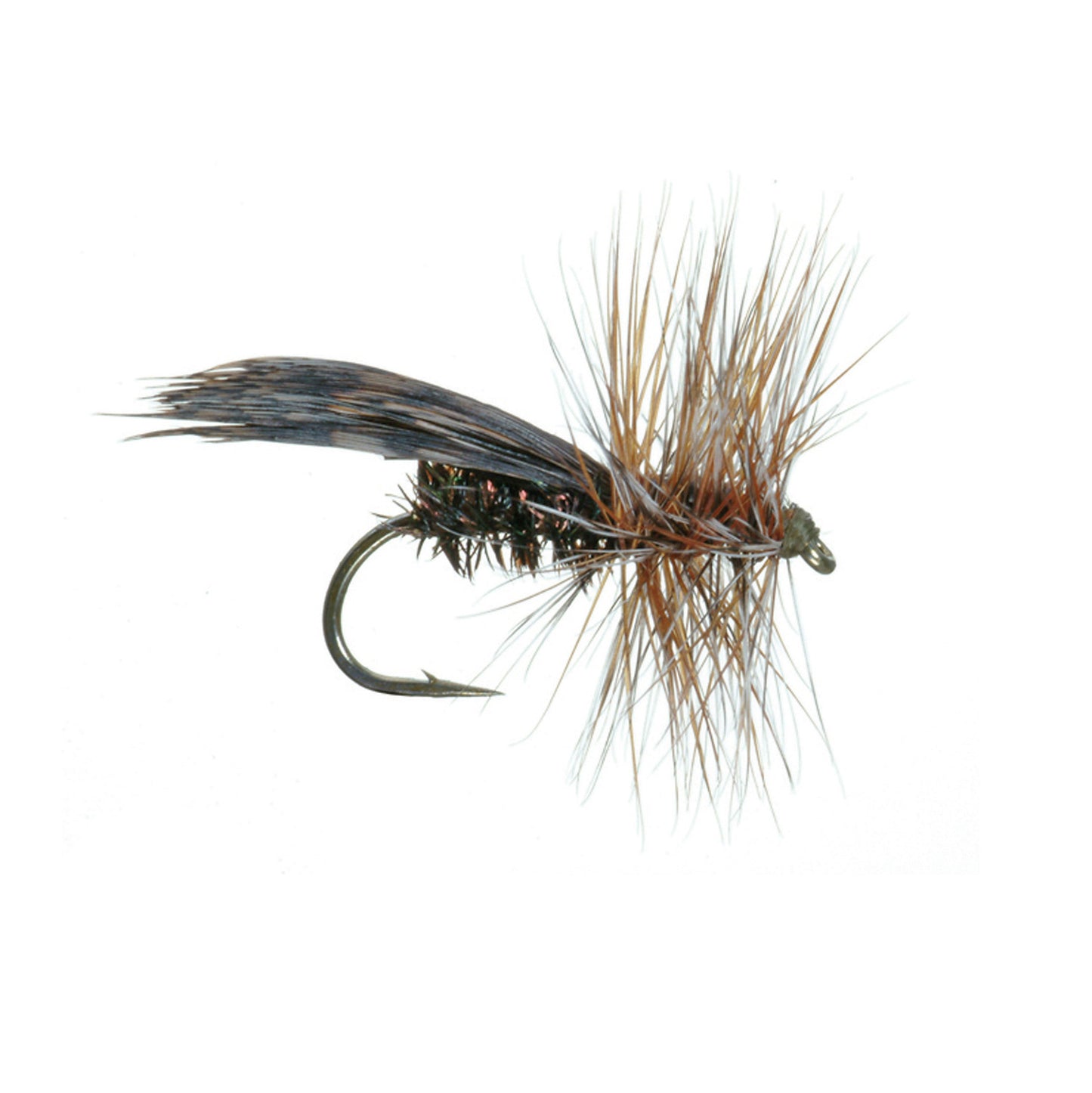 Spent Partridge Caddis, Lawson's