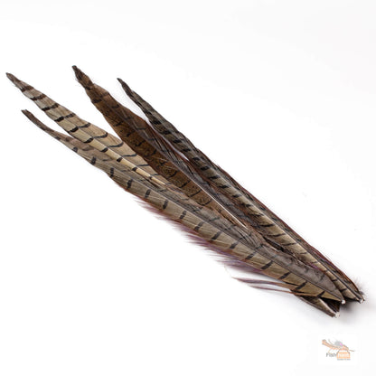 Spent Fly Fishing Pheasant Tail Side Tails