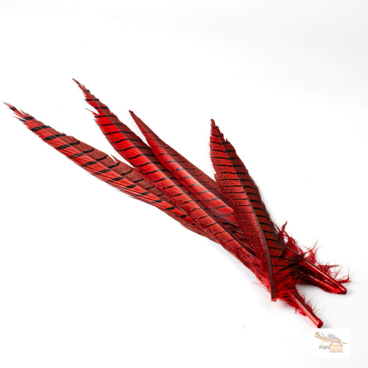 Spent Fly Fishing Pheasant Tail Side Tails