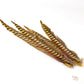 Spent Fly Fishing Pheasant Tail Side Tails