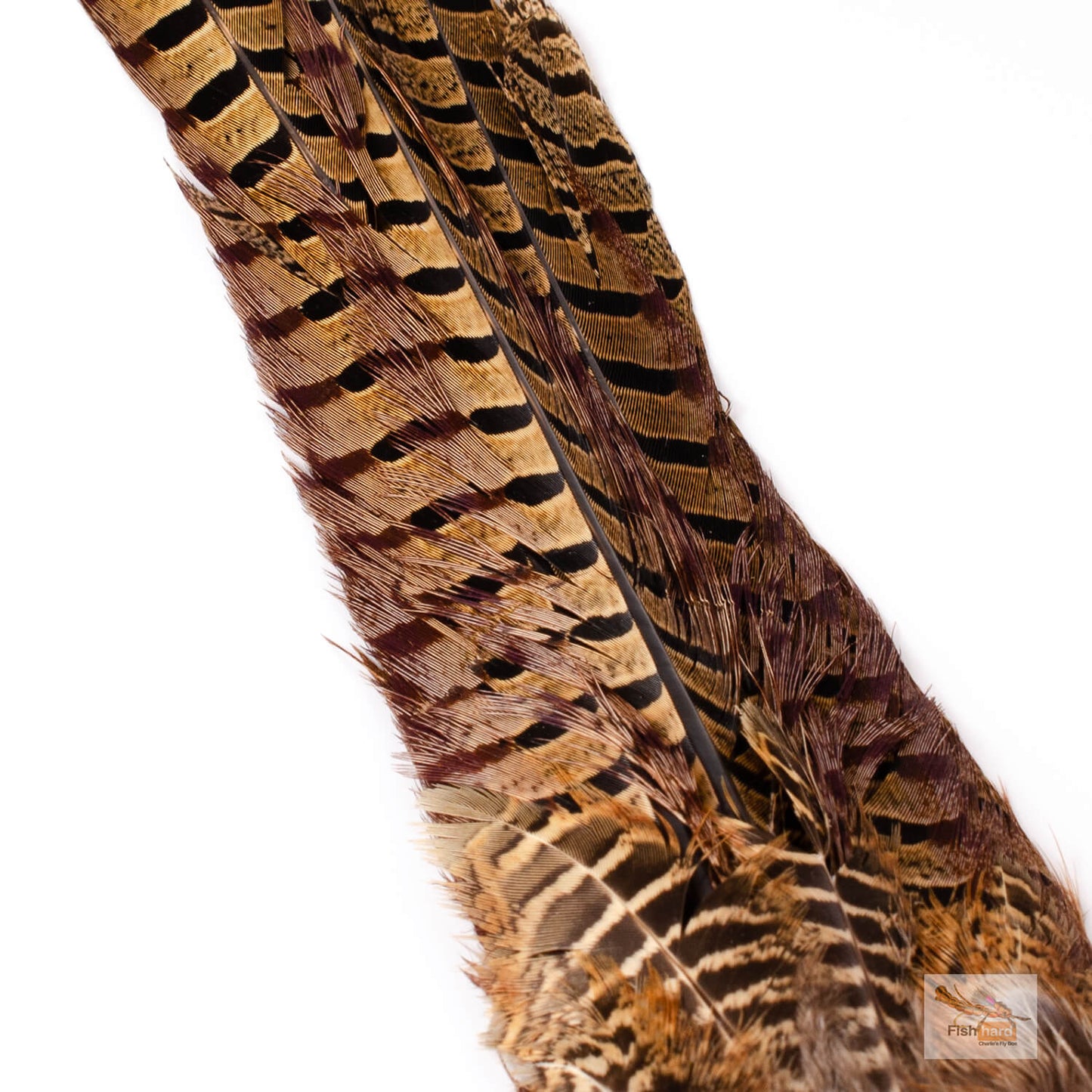 Spent Fly Fishing Pheasant Tail Clump