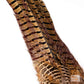 Spent Fly Fishing Pheasant Tail Clump