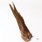 Spent Fly Fishing Pheasant Tail Clump