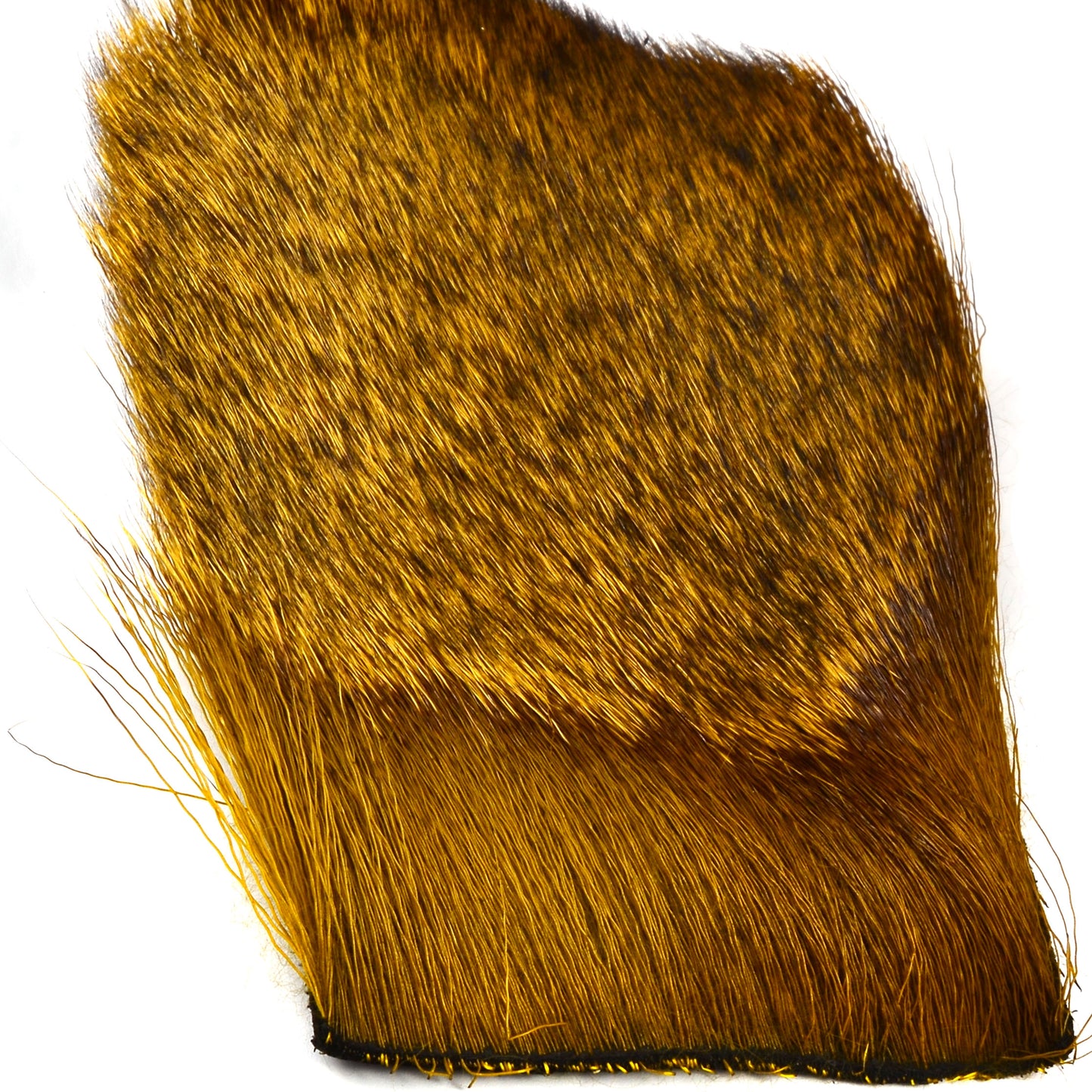 Spinning Deer