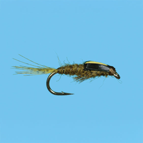 Split Back Fly Split Foam Back – charliesflybox