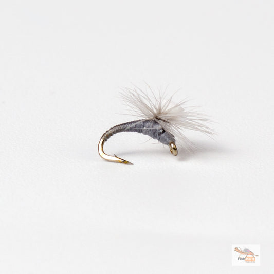 Sprout Midge