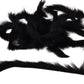 Pine Squirrel Strips