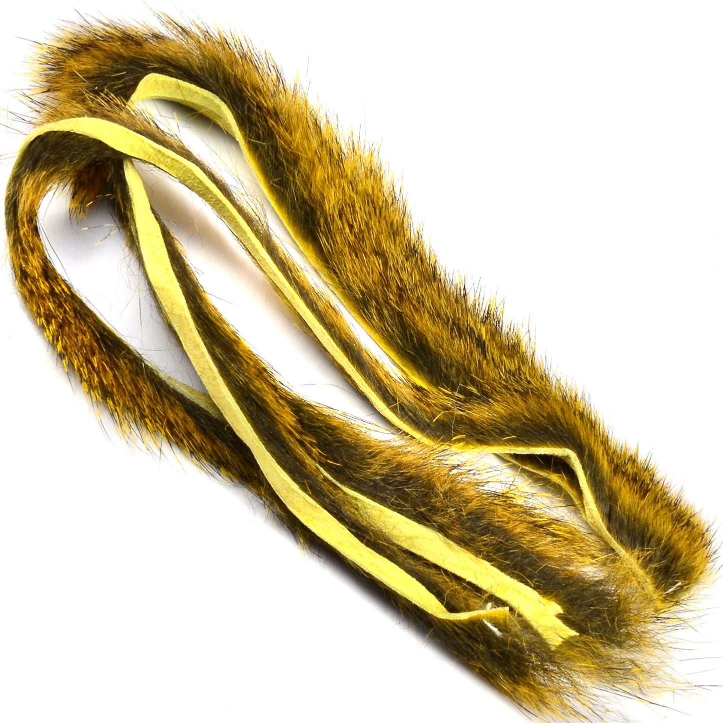 Pine Squirrel Strips
