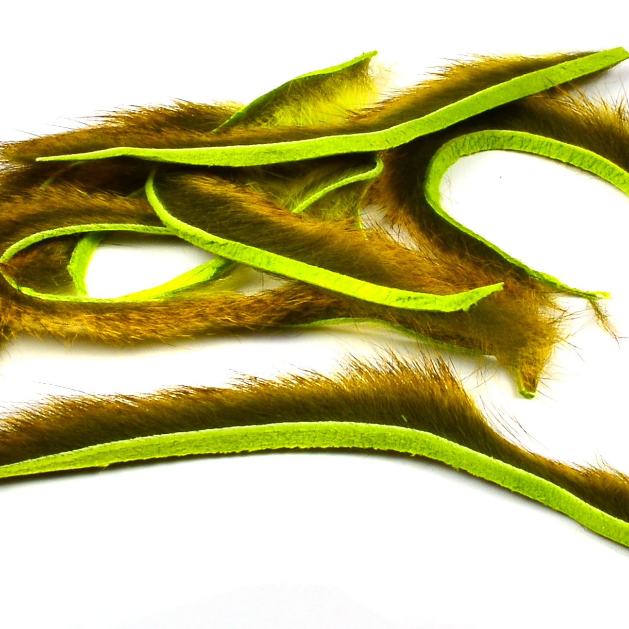 Pine Squirrel Strips