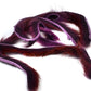 Pine Squirrel Strips
