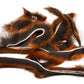 Pine Squirrel Strips