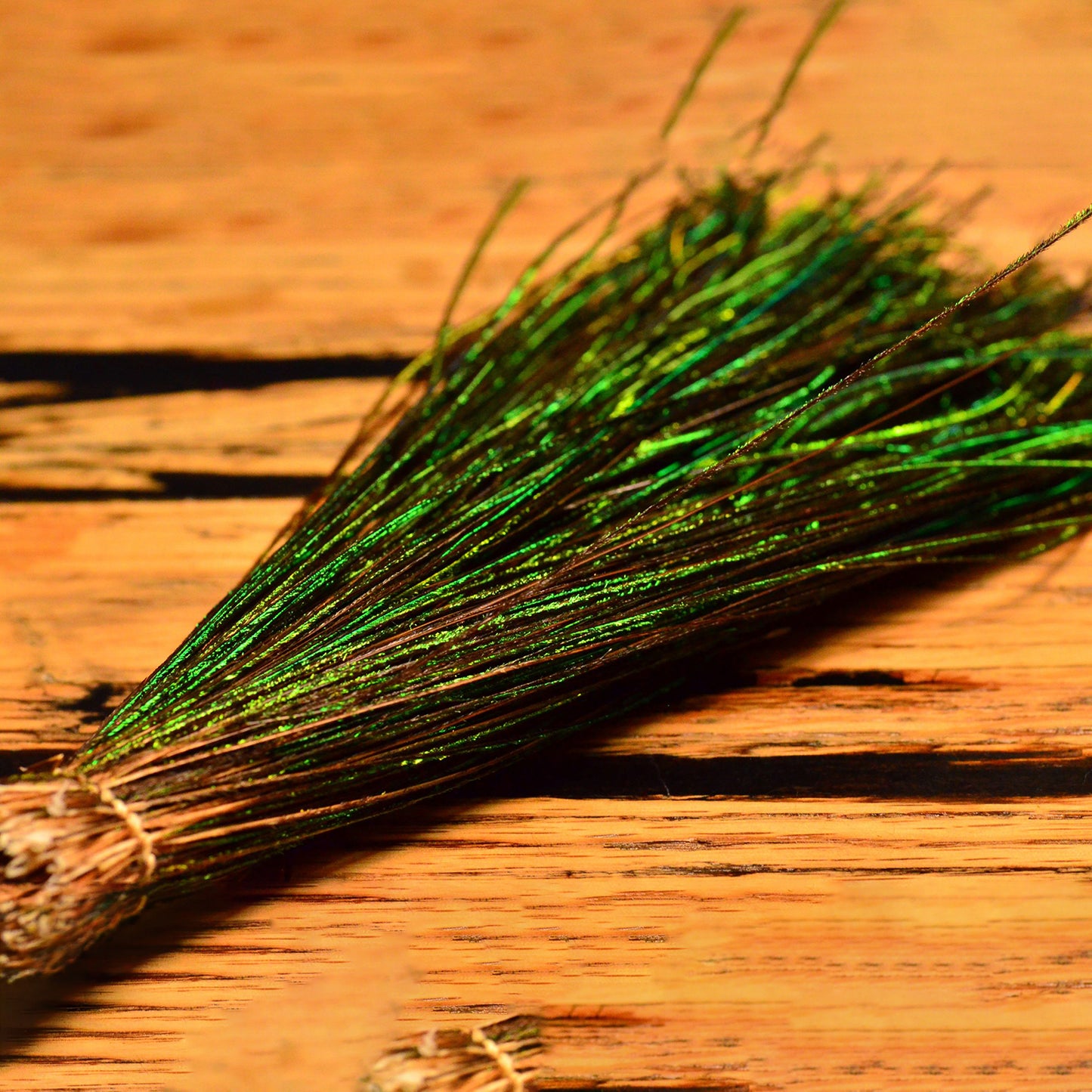Strung Peacock Herl