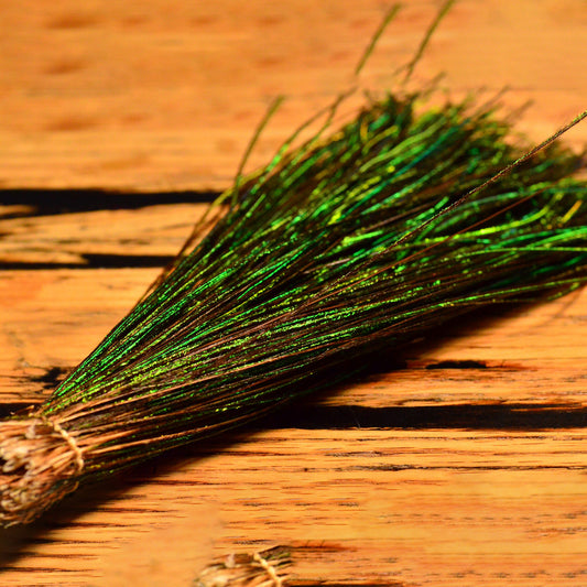 Strung Peacock Herl