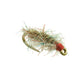 Tailwater Sowbug