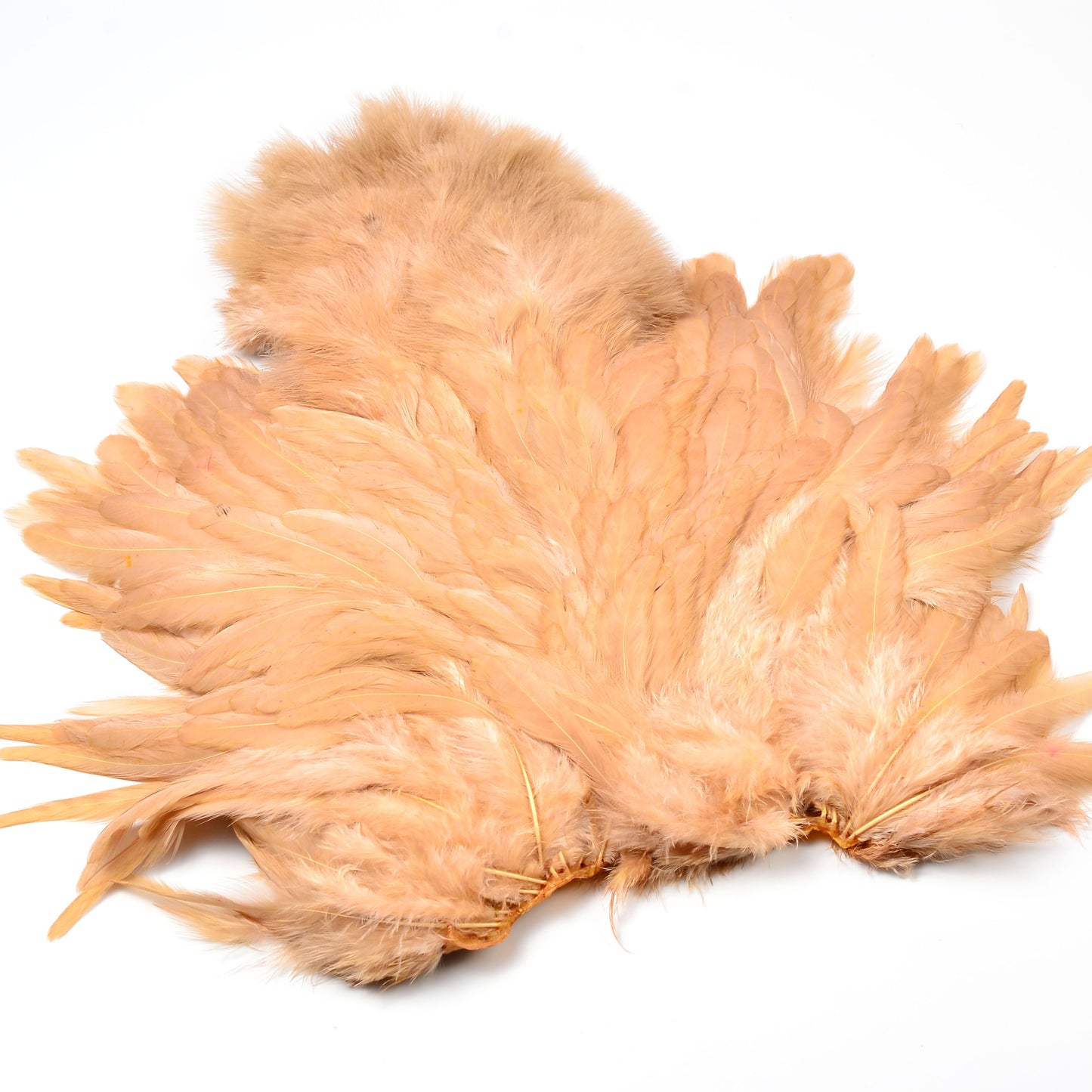 Whiting Rooster Soft Hackle with Chickabou