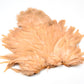 Whiting Rooster Soft Hackle with Chickabou