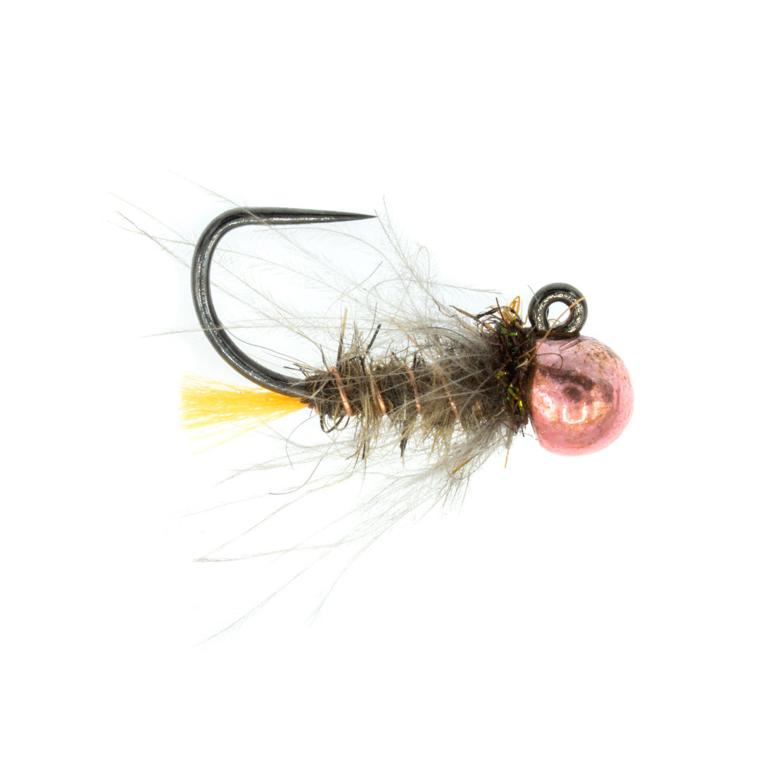 Tasmanian Devil Hare's Ear Jig