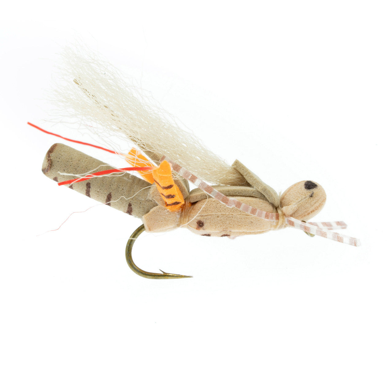 Thunder Grass Hopper