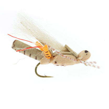 Thunder Grass Hopper