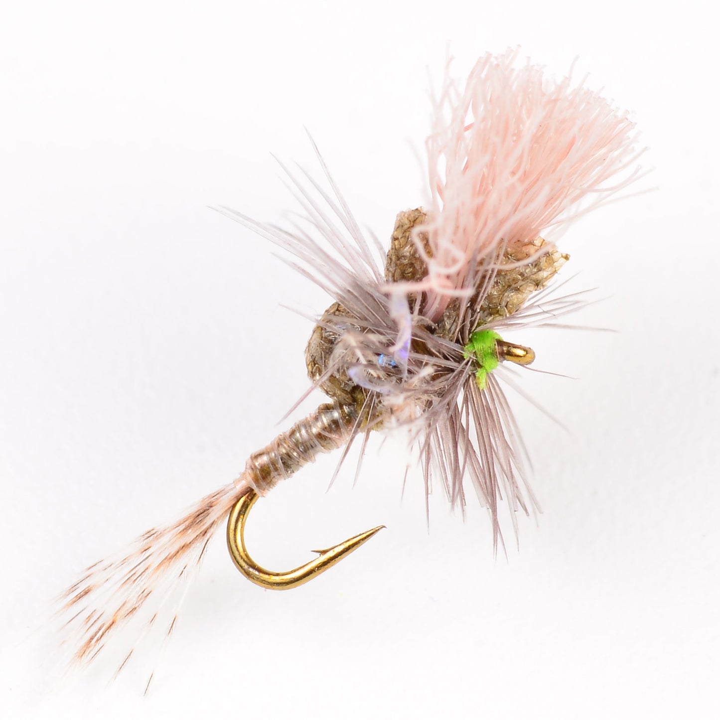 Keller's Ms. Tickle Cripple, BWO