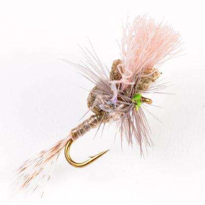 Keller's Ms. Tickle Cripple, BWO