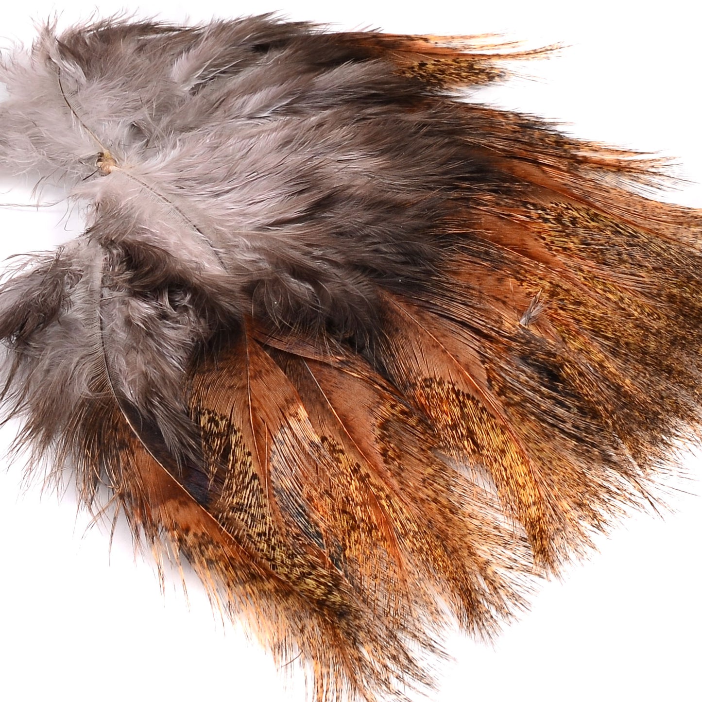 Whiting Tailing Packs (Spade Hackle)