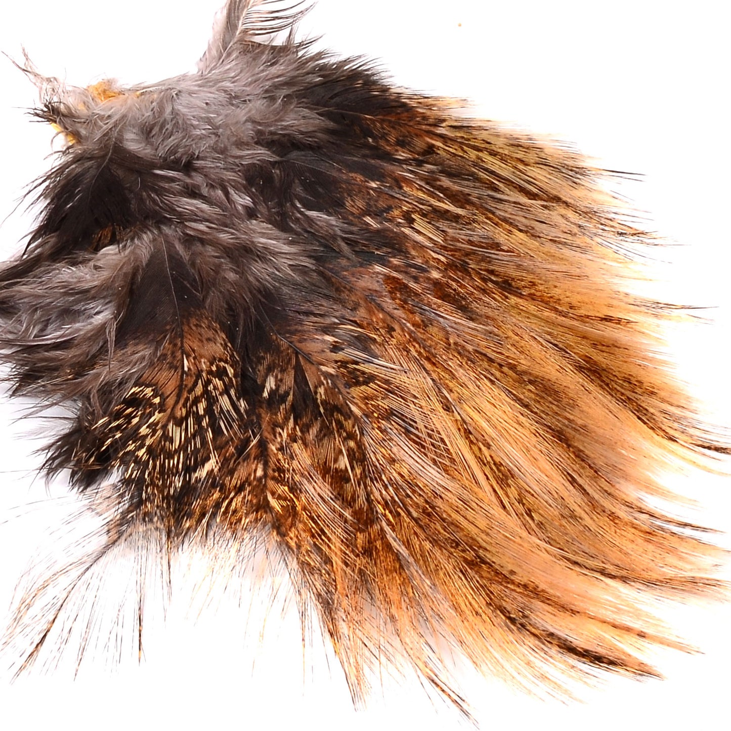 Whiting Tailing Packs (Spade Hackle)