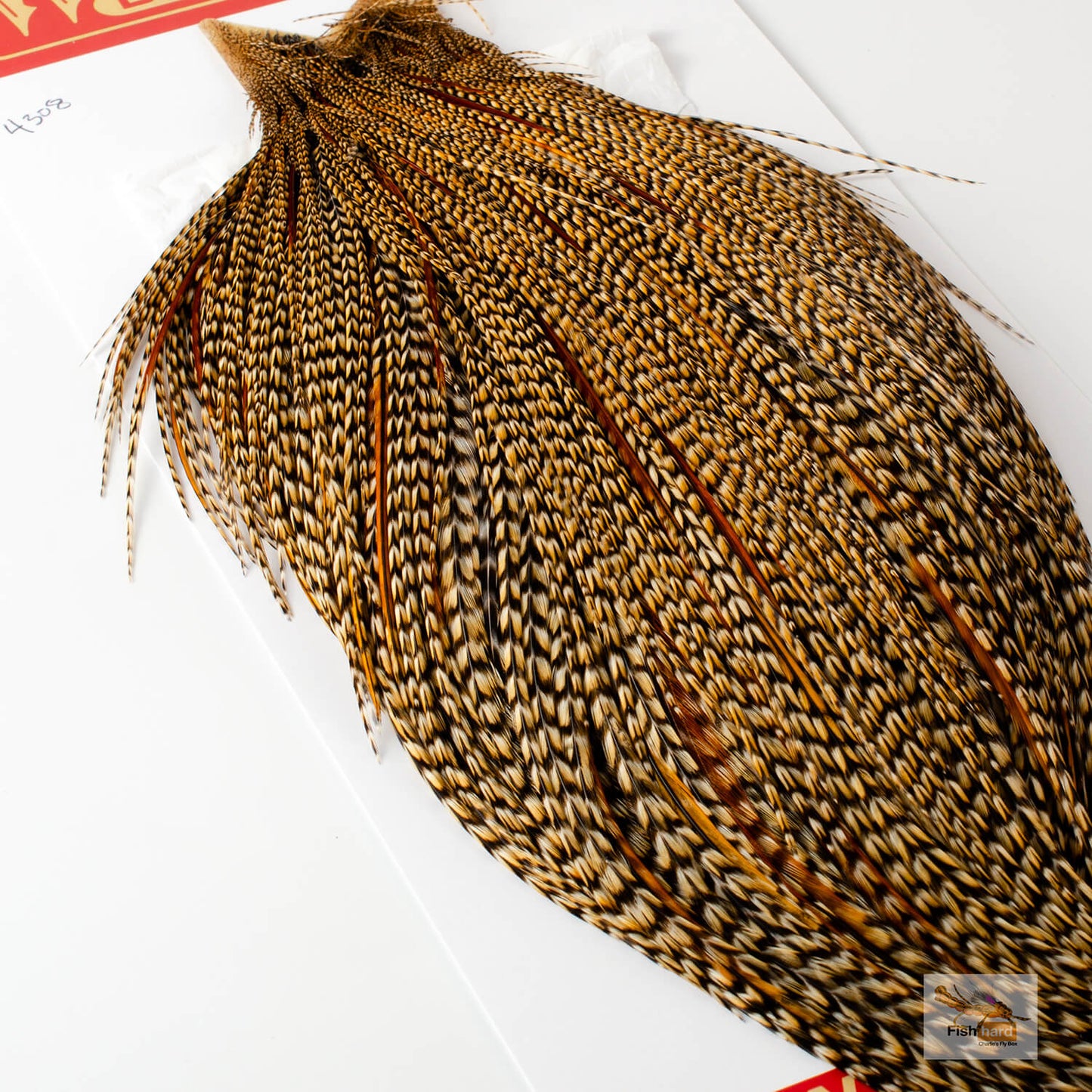 Whiting Bronze Grade Cape, Cree