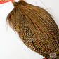 Whiting Bronze Grade Cape, Cree