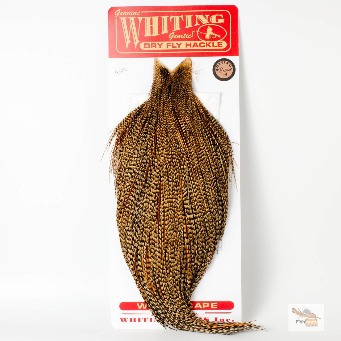 Whiting Bronze Grade Cape, Cree