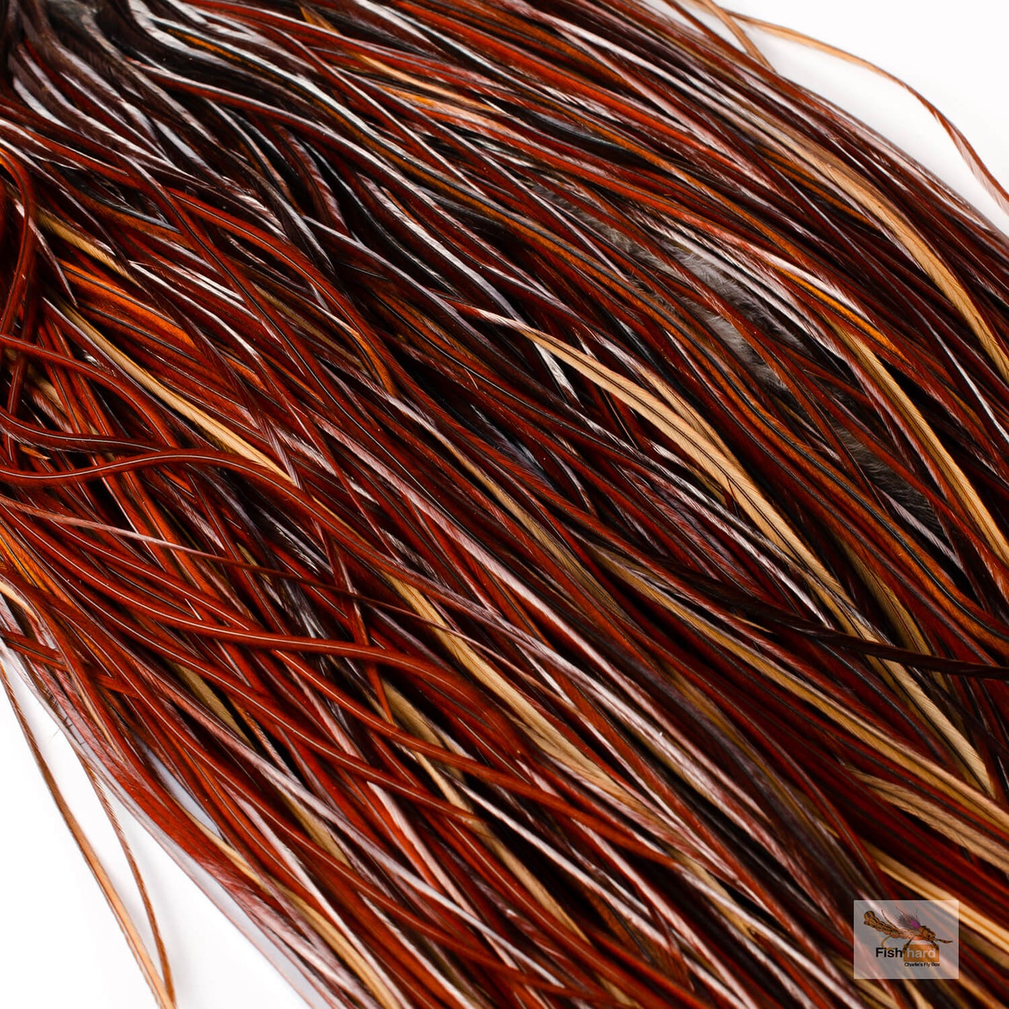 Whiting Euro Saddle