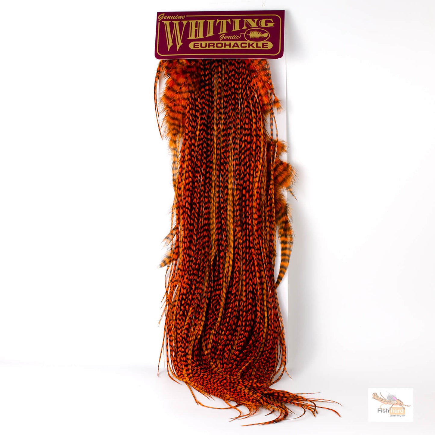 Whiting Euro Saddle