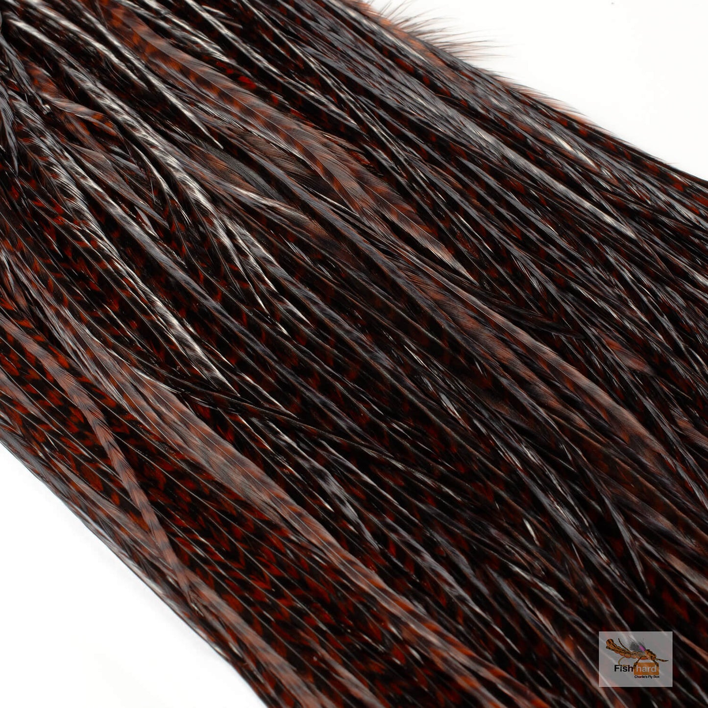 Whiting Euro Saddle